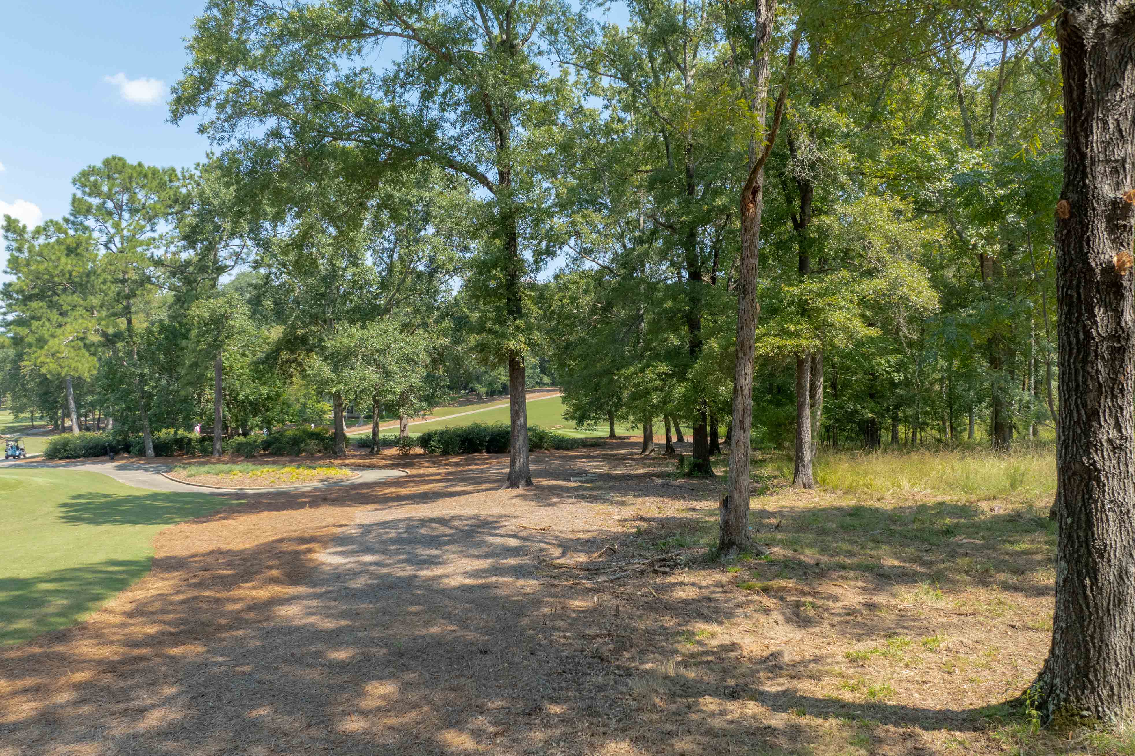161 Broadlands Drive image 14